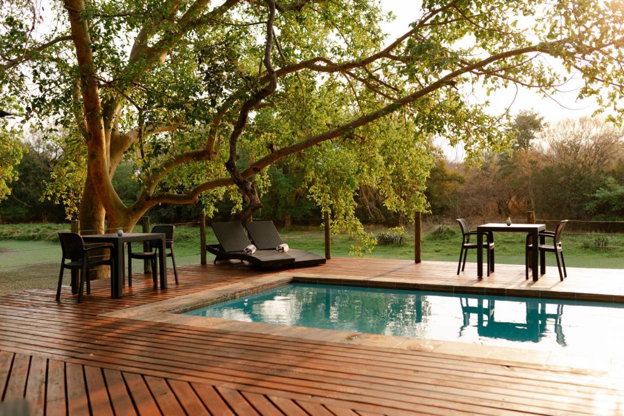 Vila Malilule Safaris Hoedspruit Exteriér fotografie